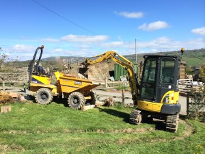 Ridgway Rentals Mini digger & dumper hire