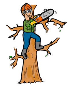 tree shear hire no chainsaw