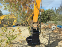 tree shears hire 2